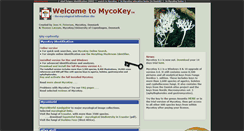 Desktop Screenshot of mycokey.com